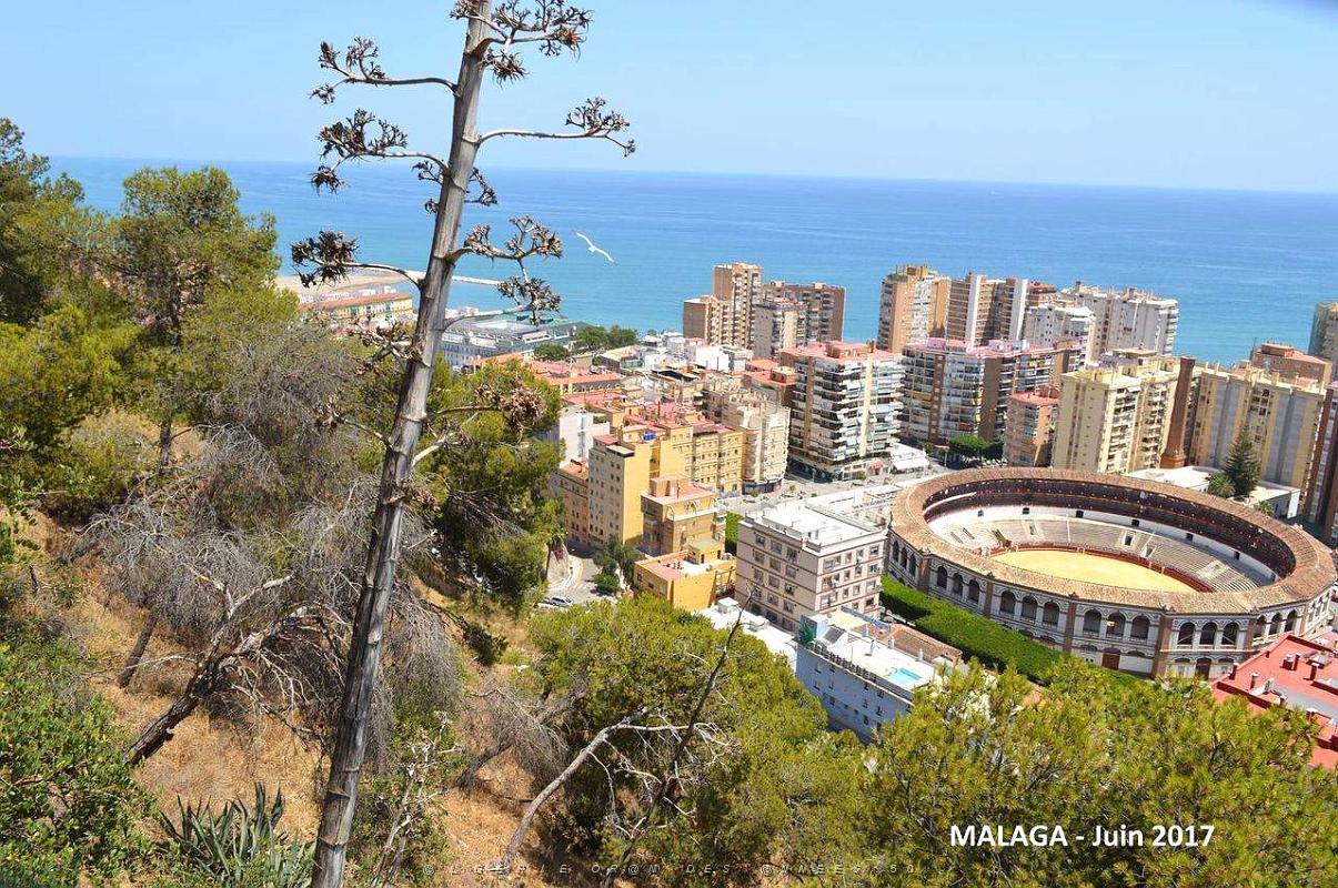 015- Malaga vue du Gibralfaro.JPG